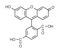 FAM|6-�Ȼ��ɹ���