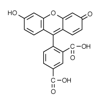 FAM|5 - �Ȼ��ɹ���