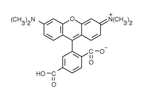 TAMRA|6-�Ȼ��ļ׻��_����